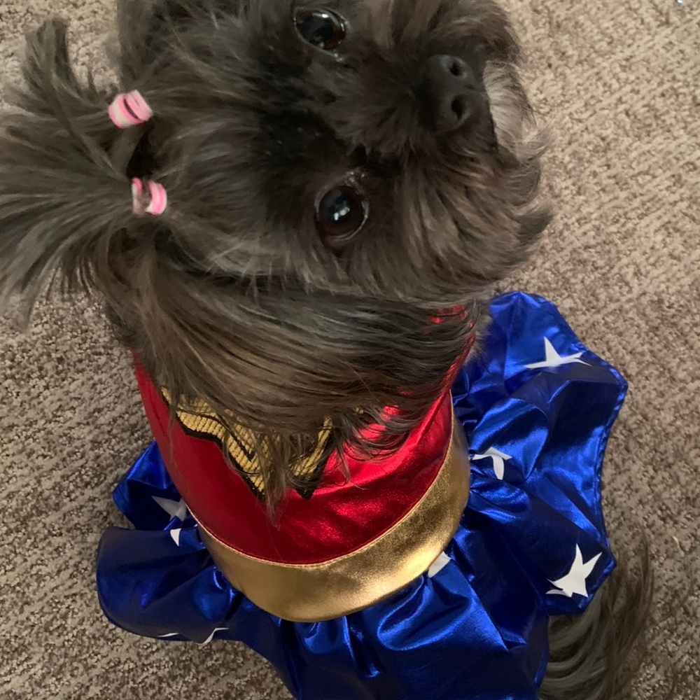 $5 LABEL FOR POSTAGE